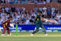 Cricket guide photo